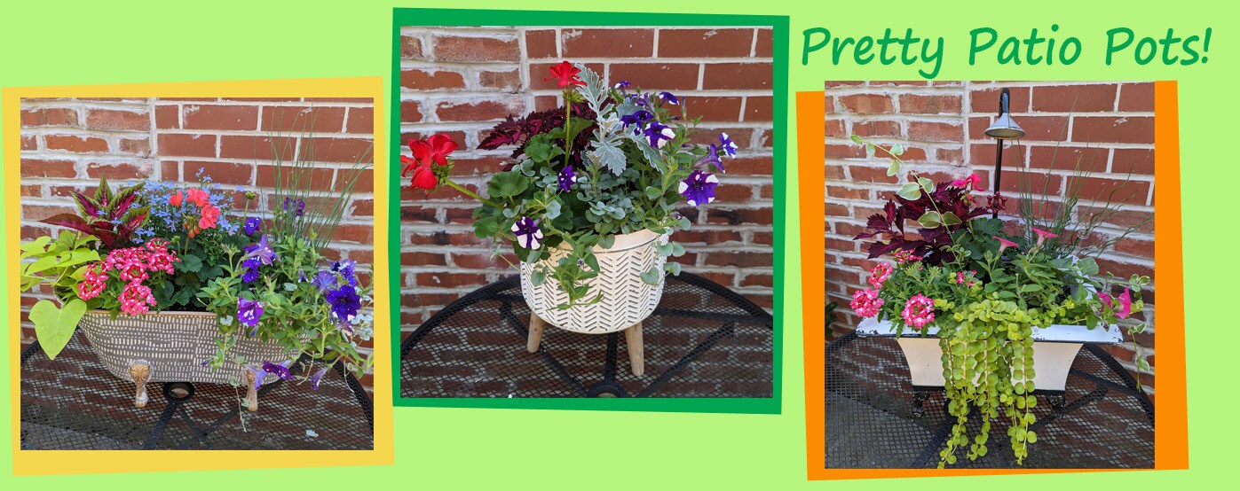 Flower Delivery to Lawrence by Owens Flower Shop Inc.
